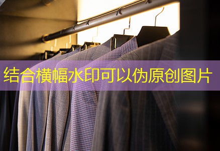 九游会 - 真人游戏第一品牌登陆：汉川绿化苗木市场分析