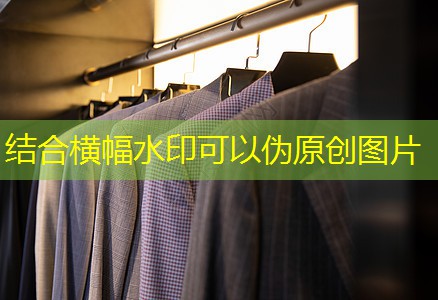 孝感市政绿化树苗有哪几种