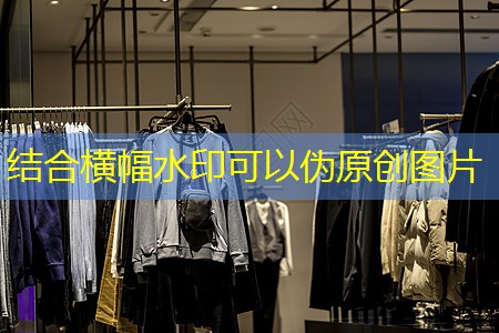 j9九游会官网：常德绿化树苗批发市场在哪儿