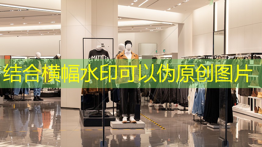 巩义园林绿化树苗批发市场