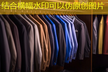太清路绿化工程