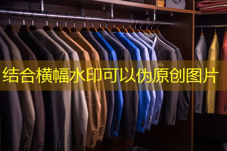 徐汇区城市绿化