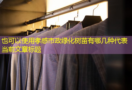 孝感市政绿化树苗有哪几种