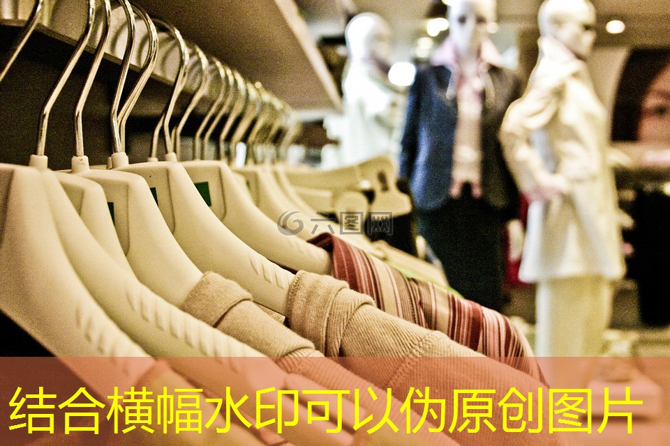 武阳高速四标段绿化工程