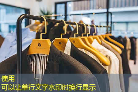 四明镇四长线新南段绿化工程